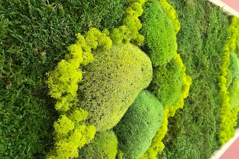 Mystic Grove Moss Art