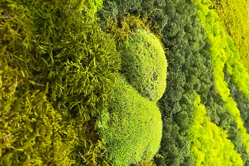 Forest Lullaby Moss Art