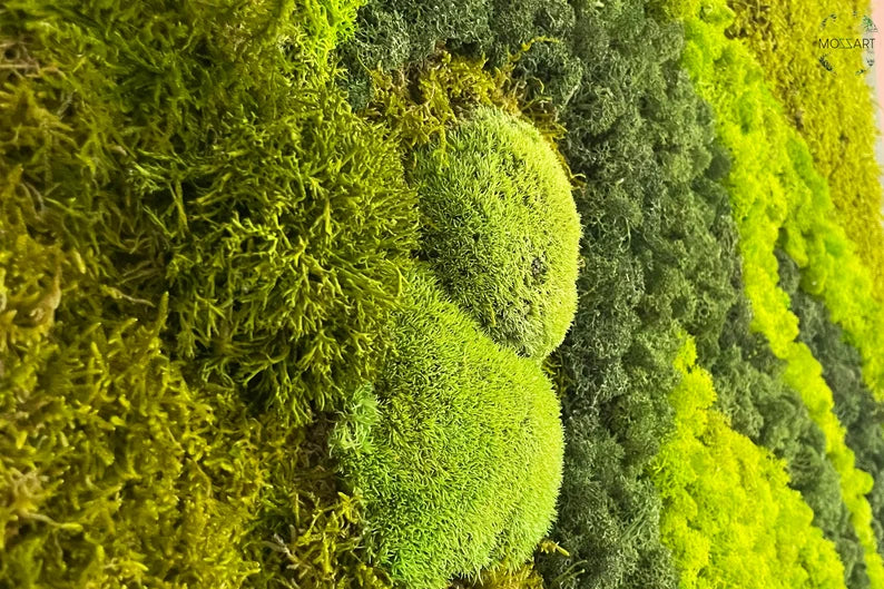 Ethereal Greens Moss Art