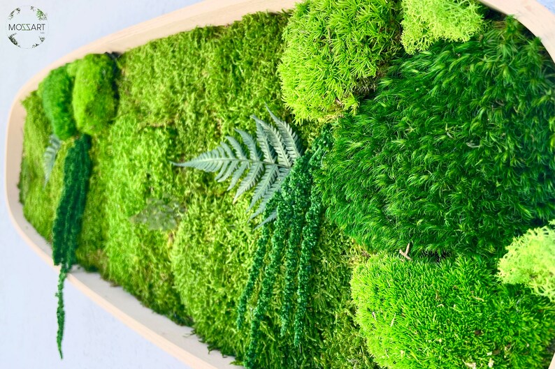 Mystical Green Moss Art