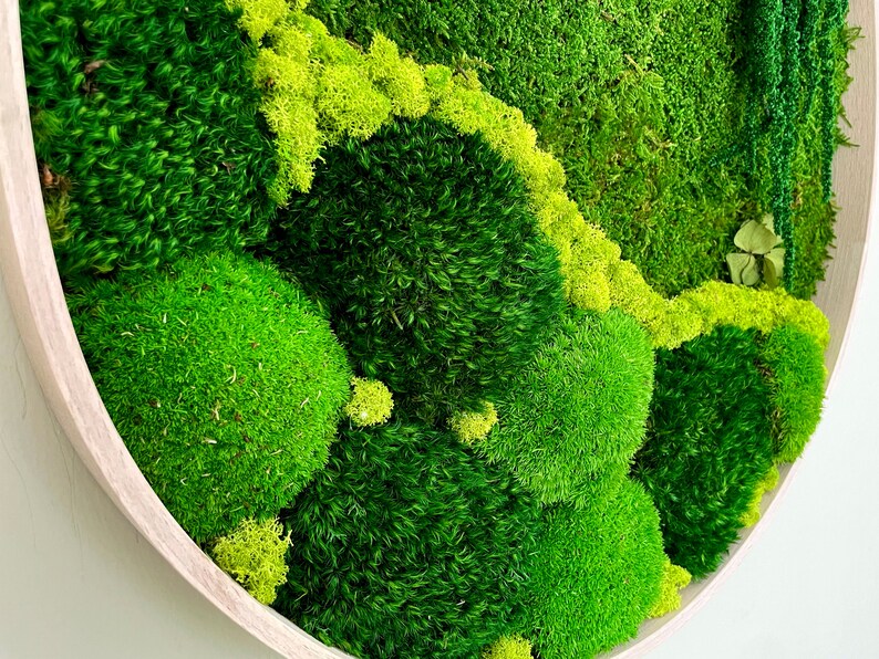 Jade Symphony Moss Art